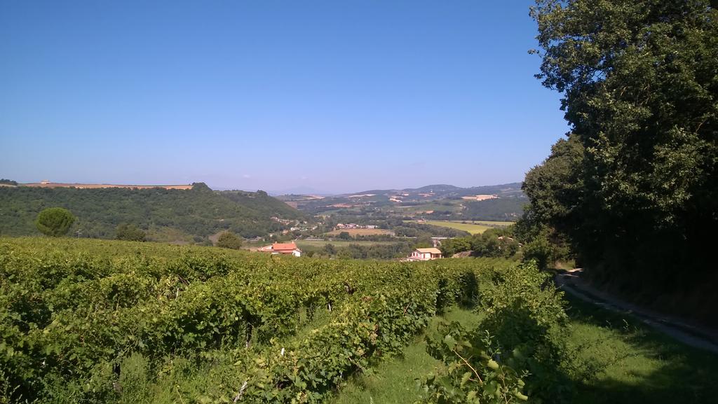 Apartament Agriturismo La Vite E L'Ulivo Baschi Zewnętrze zdjęcie