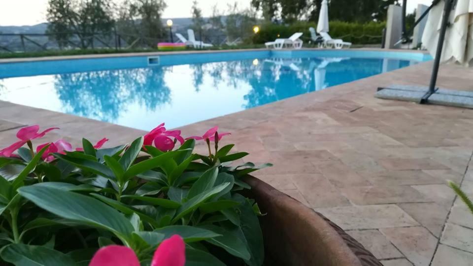 Agriturismo La Vite E L'Ulivo Baschi Zewnętrze zdjęcie