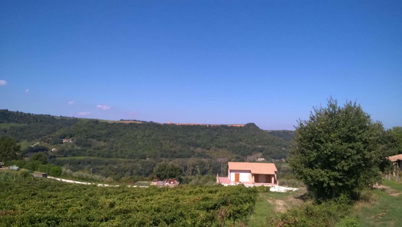 Apartament Agriturismo La Vite E L'Ulivo Baschi Zewnętrze zdjęcie