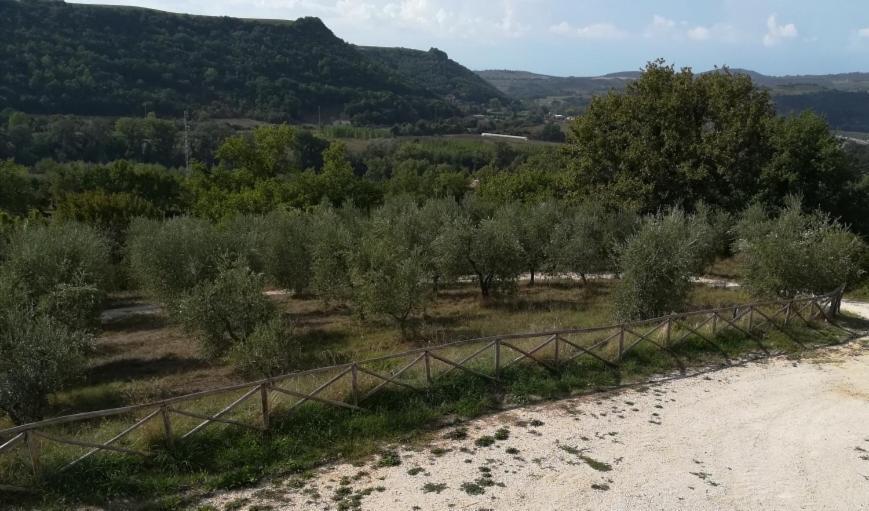 Agriturismo La Vite E L'Ulivo Baschi Zewnętrze zdjęcie