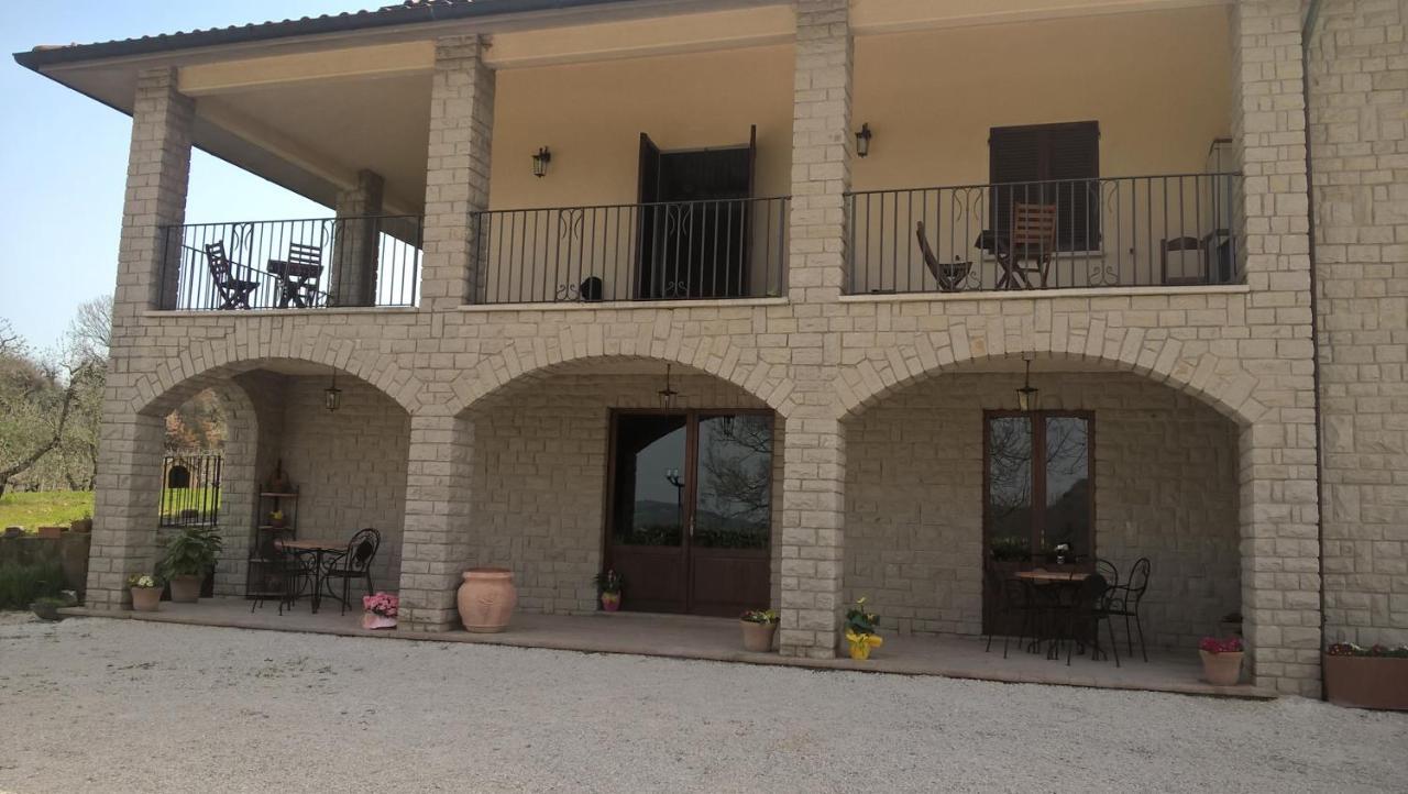 Agriturismo La Vite E L'Ulivo Baschi Zewnętrze zdjęcie