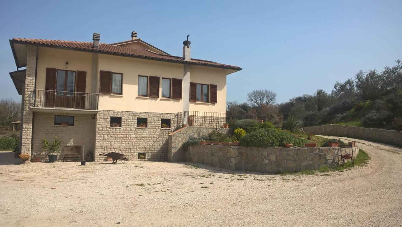 Agriturismo La Vite E L'Ulivo Baschi Zewnętrze zdjęcie