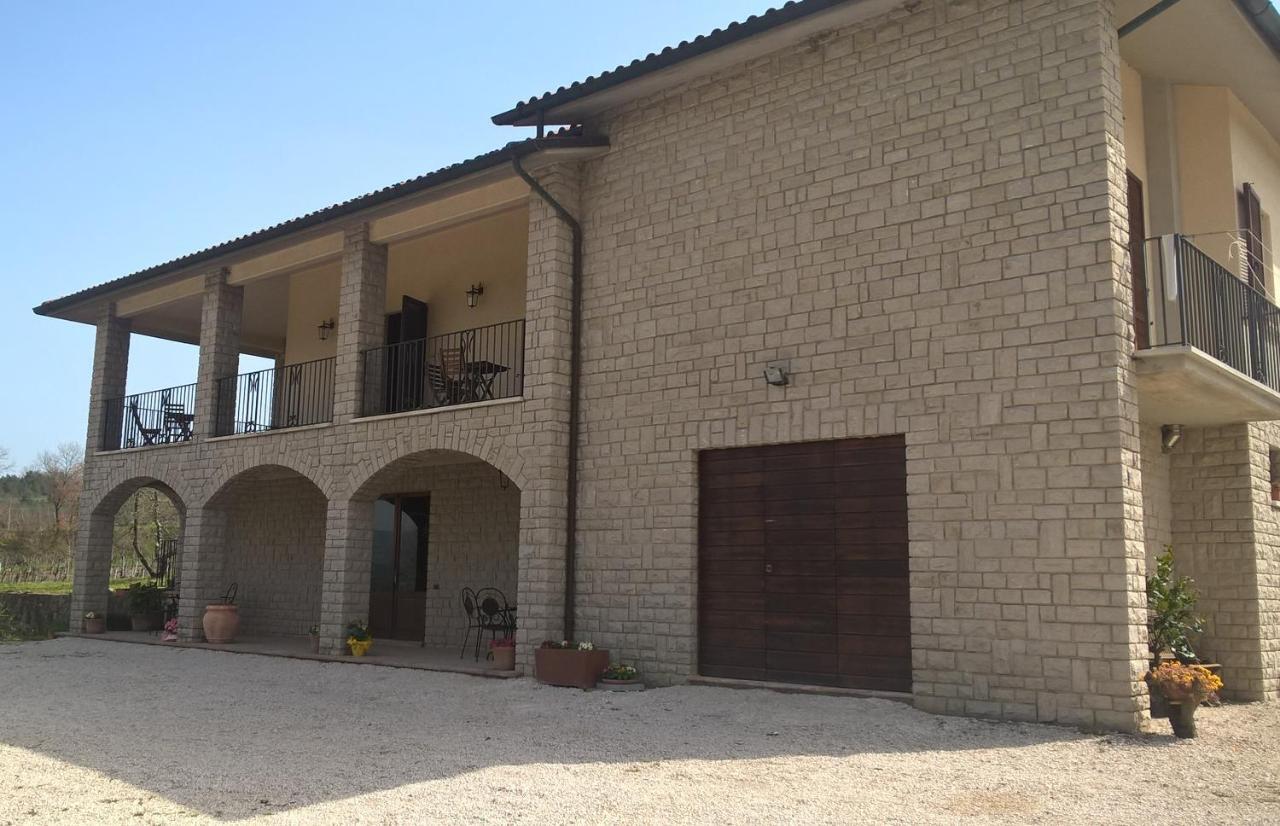 Apartament Agriturismo La Vite E L'Ulivo Baschi Zewnętrze zdjęcie