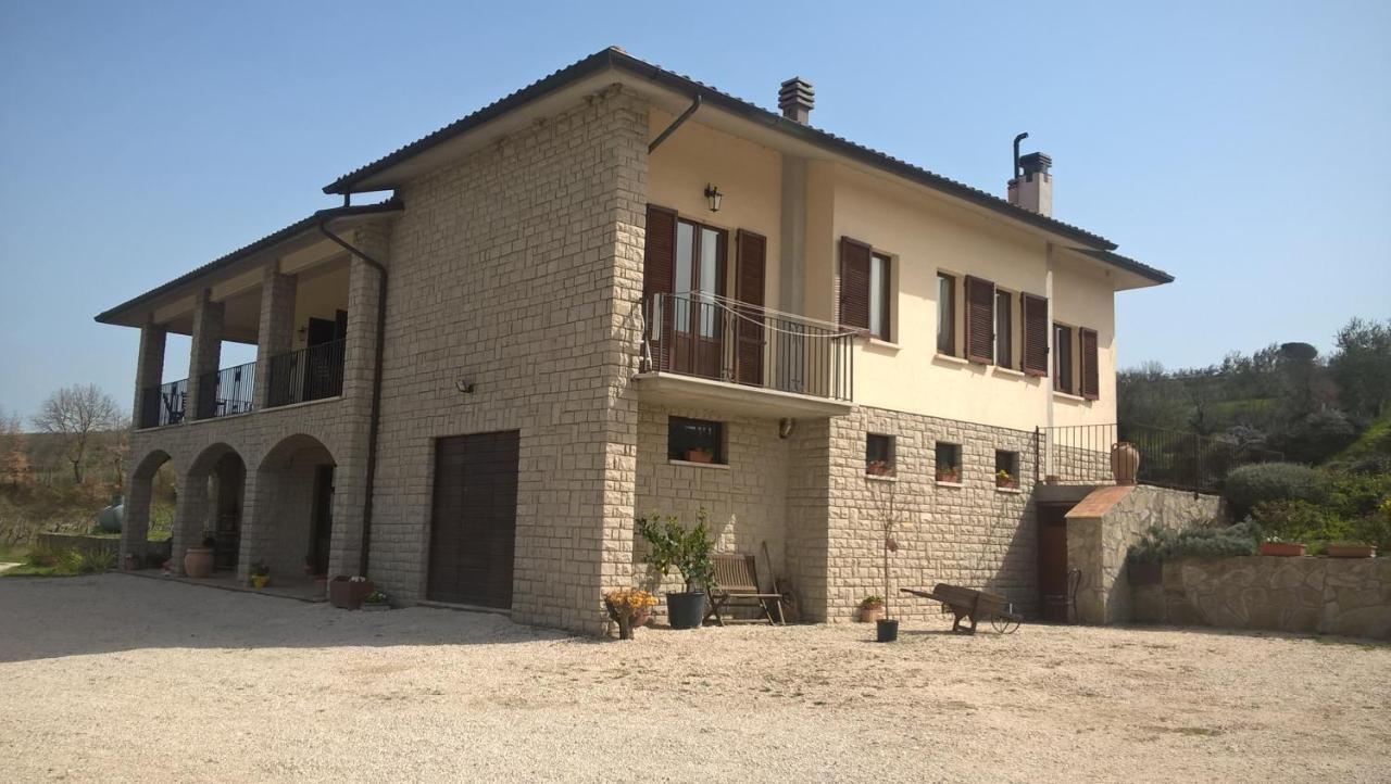 Apartament Agriturismo La Vite E L'Ulivo Baschi Zewnętrze zdjęcie